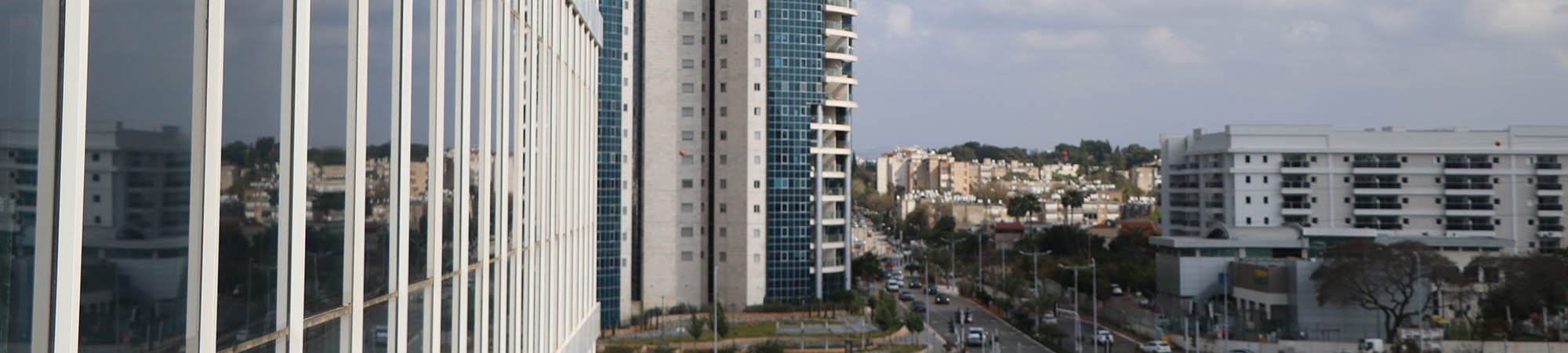 דוגמאות של פסקי דין והצלחות 